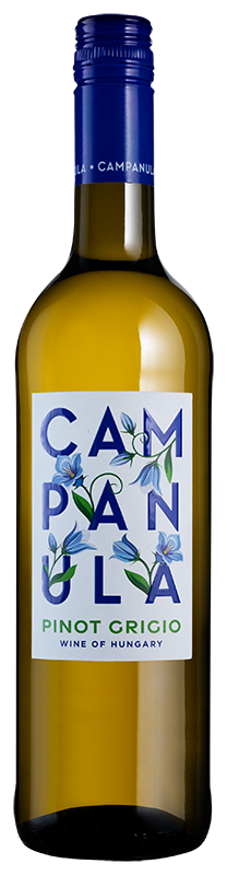 Campanula Pinot Grigio