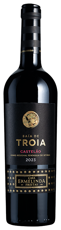 Baía de Tróia Castelão